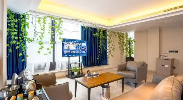 Капсула Deluxe Taizhou Zhonghua Mould Theme Hotel
