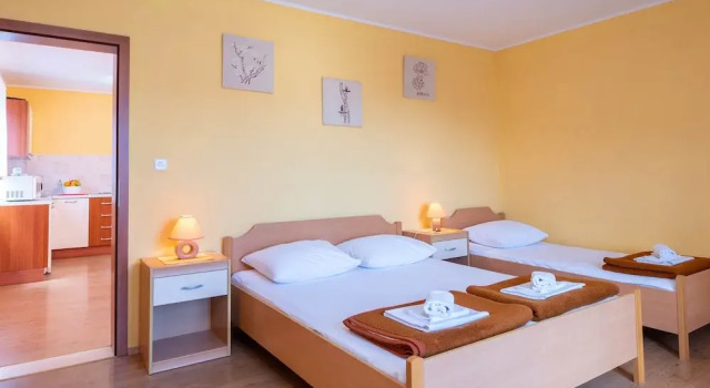 Апартаменты Comfort Apartmani Ivana