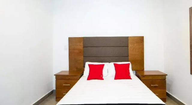 Двухместный номер Standard Capital O Hotel San Jose, San Luis Potosi