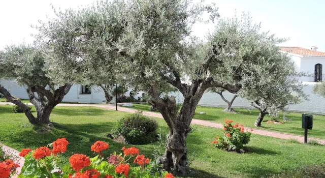 Nerja Villas Capistrano - Apartamentos Turísticos