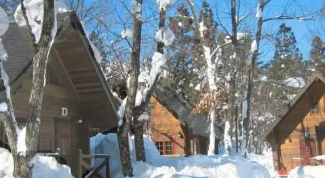 Номер Standard Hakuba Brownie Cottages