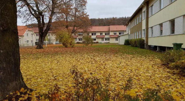 Трёхместный номер Economy Huskvarna Hotell & Vandrarhem