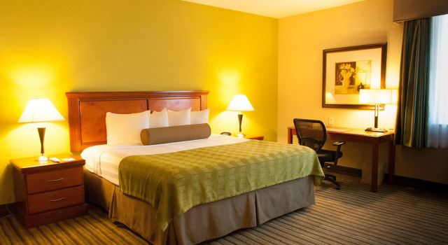 Двухместный номер Standard Best Western Plus Miami-Doral/Dolphin Mall