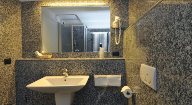 Двухместный номер Economy Hotel Salò du Parc