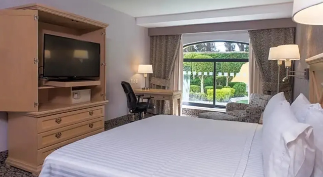 Двухместный номер Standard с видом на сад Holiday Inn Queretaro Centro Historico by IHG