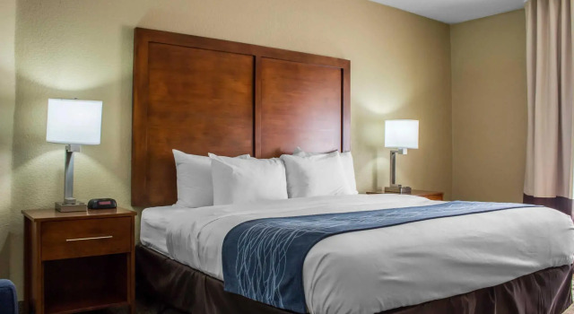 Номер Standard Spark by Hilton Phoenix-Glendale-Peoria