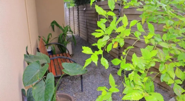 Habitación Estándar Crown Bed & Breakfast