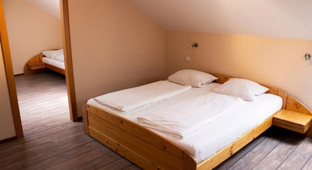 Семейные апартаменты Hotel U Labutě