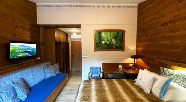 Номер Superior Hotel Na Dolině