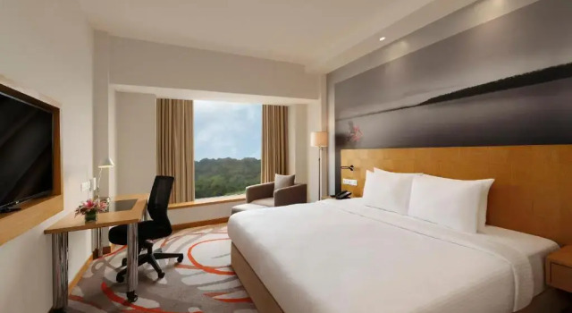 Двухместный номер Superior Novotel Hyderabad Convention Centre