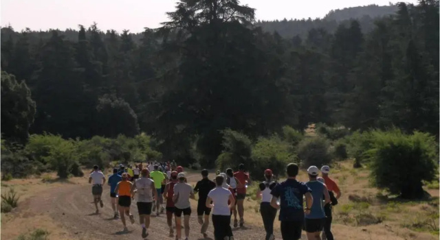 Апартаменты Un havre de paix à Ifrane