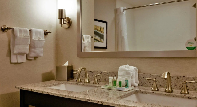 Люкс Holiday Inn and Suites East Peoria by IHG