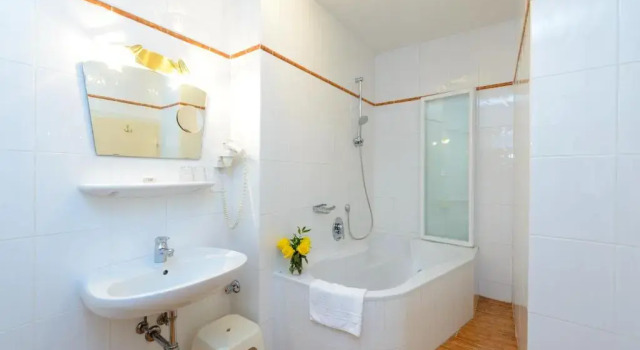 Двухместный номер Standard Hotel-Gasthof Maria Plain