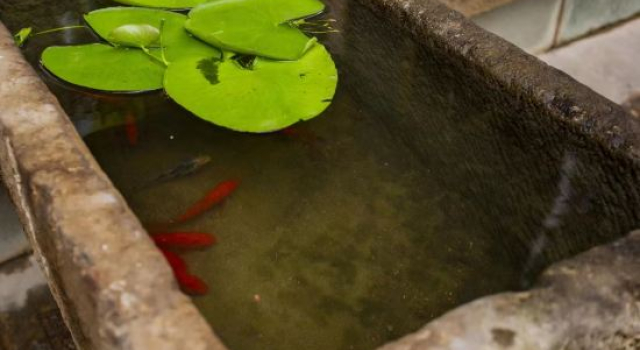 Jianchuan Xiyuan Homestay, Boek Hotel Jianchuan Yunnan