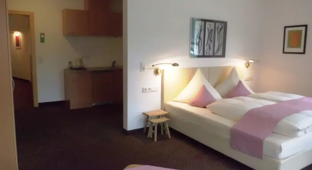 Студия Comfort с красивым видом из окна Alpina Appartements