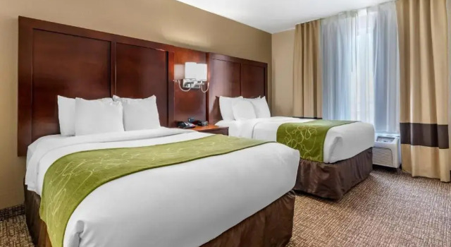 Одноместный полулюкс Comfort Suites Fernley