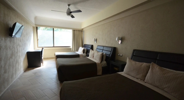Номер Executive Hotel Diana del Bosque by DOT Urban