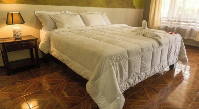 Четырёхместный номер Standard Sueno Dorado Hot Springs Hotel
