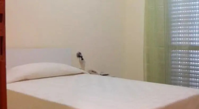 Номер Standard Hotel 4 Lampioni