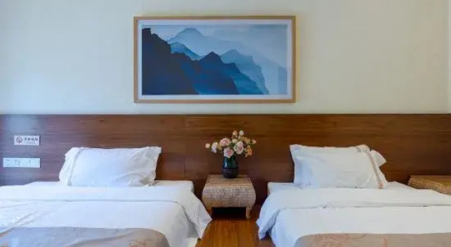 Люкс Deluxe Bixiang Inn