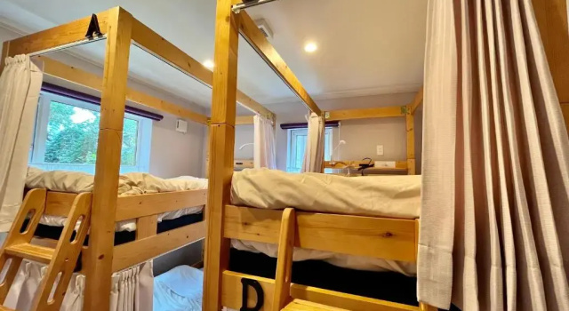 Кровать в общем номере (женский номер) Family Tree Guest House