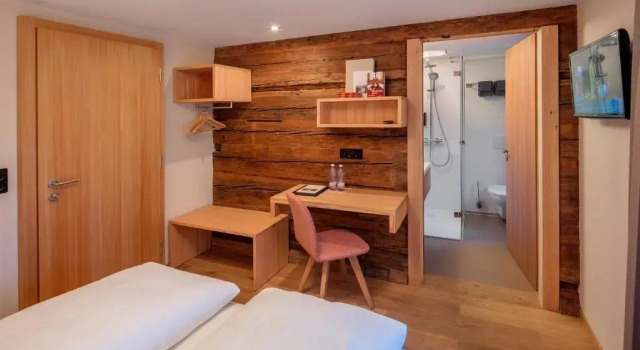 Одноместный номер Standard Hotel Nest- und Bietschhorn