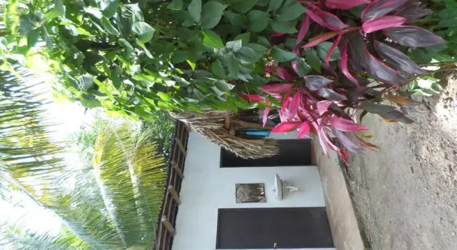 Mozon Ik Hostal, Prenota Ostello Temozon Yucatán