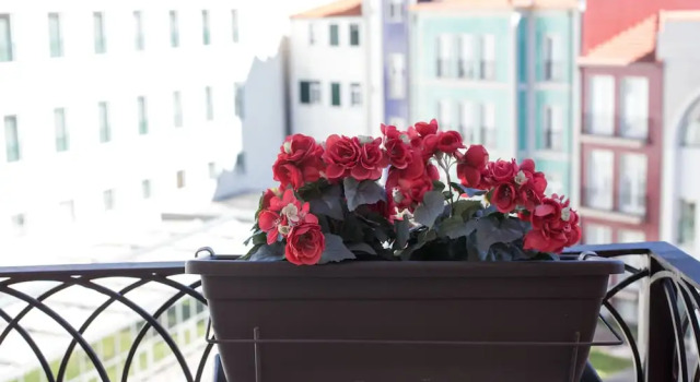 Студия с балконом Cardosas Story Apartments by Porto City Hosts