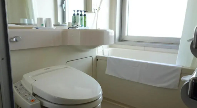 Двухместный номер Standard Hotel New Green Tsubame Sanjo