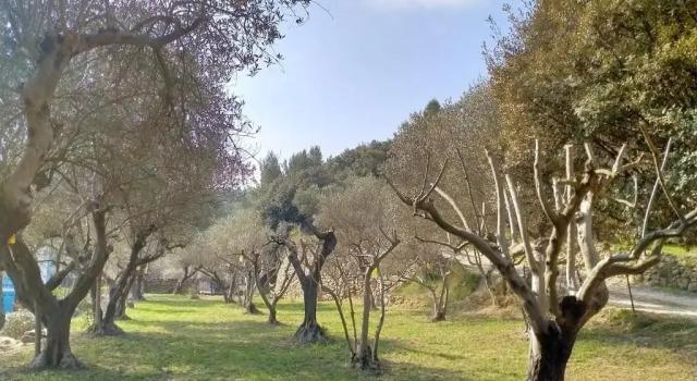 Коттедж Gite du domaine de l'Arbre de Vie
