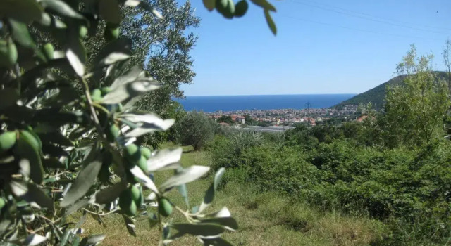 Agriturismo PeterPan, Забронировать Отель Отели Бойссано с парковкой, Парковка