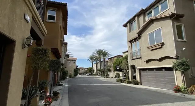Olive Glen