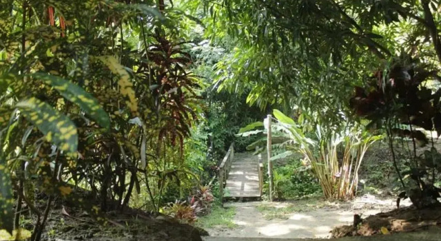 Standard double chambre Mama Tayrona Jungle Hostel