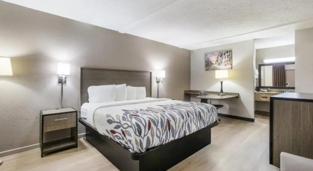 Номер Superior Red Roof Inn Savannah - Richmond Hill I-95