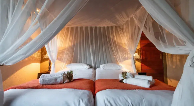 Двухместный полулюкс Elephant Game Lodge
