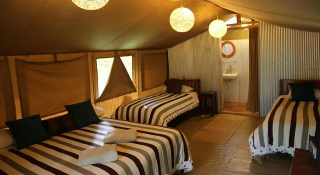 Номер Standard Wildebeest Eco Camp