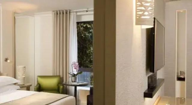 Одноместный номер Standard Garden-Elysée