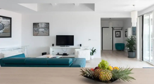 Penthouse Apartment