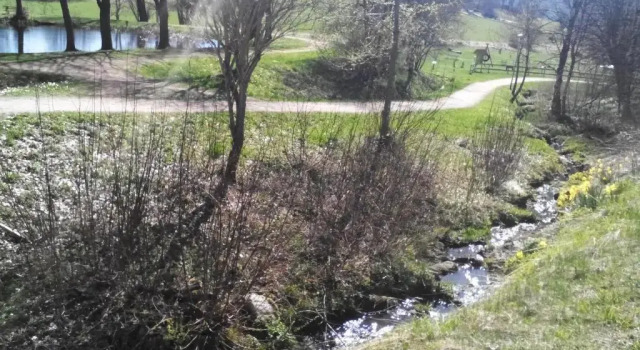 Apartment Schluchsee