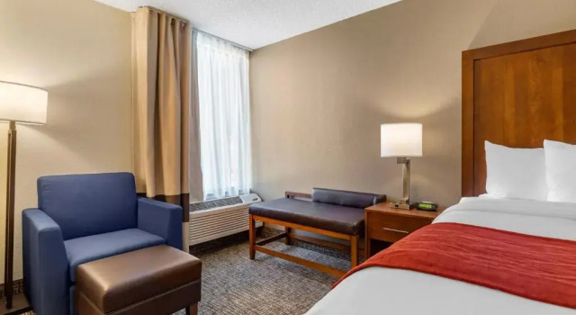 Номер Standard Comfort Inn University