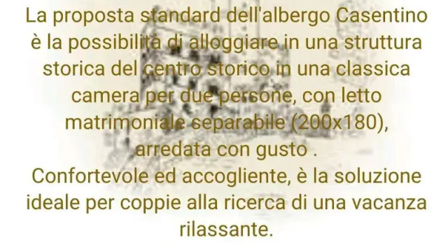 Двухместный номер Standard Albergo Casentino