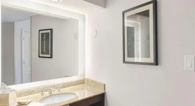 Номер Standard Hilton Chicago/Oak Lawn