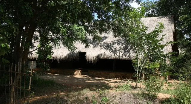 Номер Standard Athreya Ayurveda Ashram