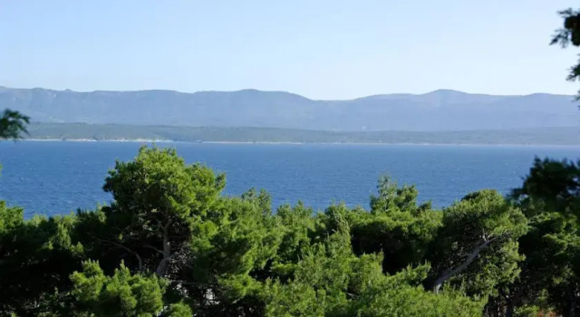 Villa Dalmatia Apartments, Prenota Appartamento Bol 