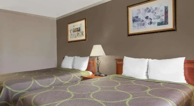 Номер Standard budgetel Inn & Suites