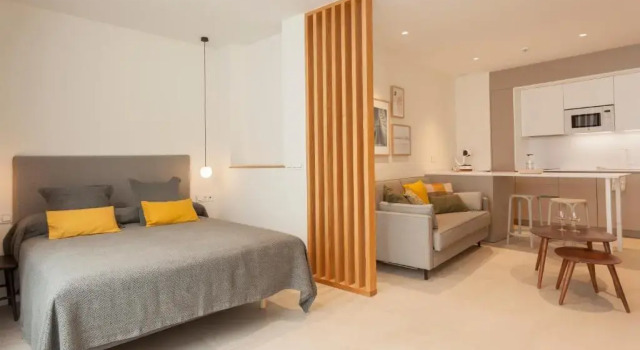 Студия Apartamentos Málaga Premium - Calle Granada