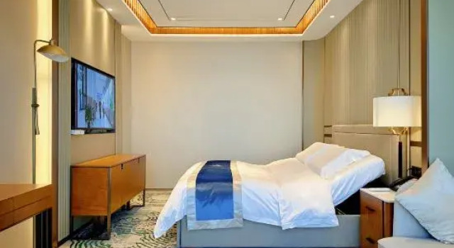 Люкс Deluxe Galactic True Home Hotel
