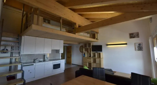 Апартаменты Пентхаус c 1 комнатой Appartmenthaus Bergfreund