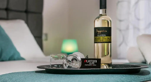 Студия Platoni Elite