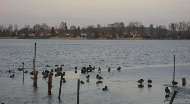 Апартаменты Ferienwohnung am Schwielochsee